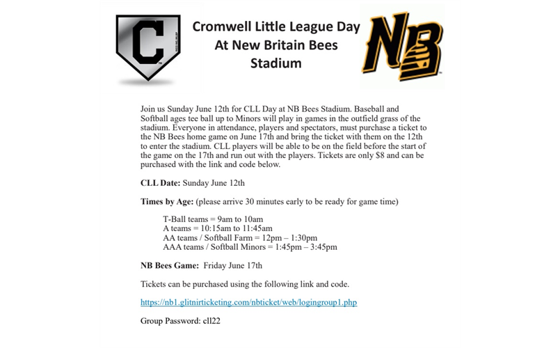 New Britain Bees CLL Day