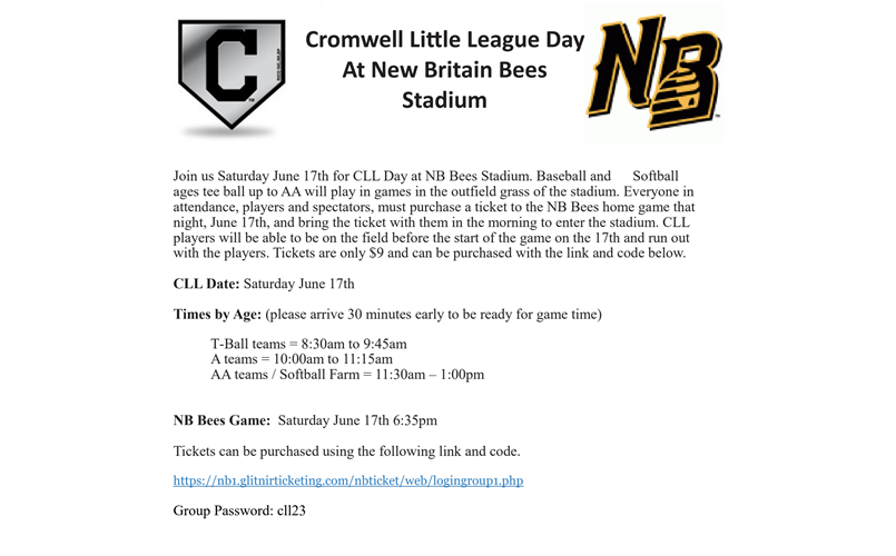 New Britain Bees Day