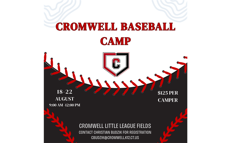 Coach Budzik's Summer Baseball Camp